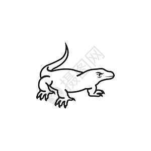 Komodo 图标蜥蜴插图卡通片绘画哺乳动物恐龙国家荒野食肉艺术图片
