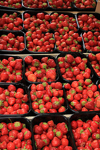 市场摊位上小集装箱中的草莓盒子红色浆果水果店铺销售商品生产陈列零售图片