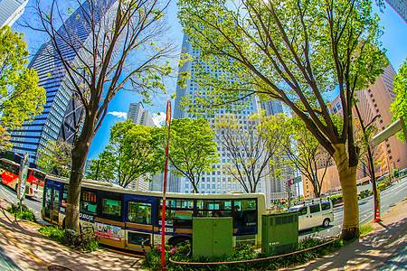 新绿新宿好天气天空景观婴儿期街景浅蓝色蓝色城市摩天大楼木头图片