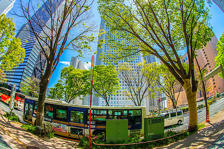 新绿新宿好天气天空景观婴儿期街景浅蓝色蓝色城市摩天大楼木头背景图片