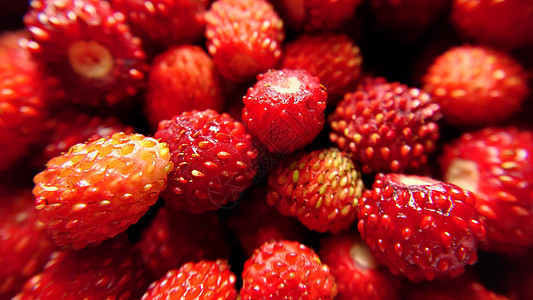 草莓特写红林草莓的特写背景图象背景