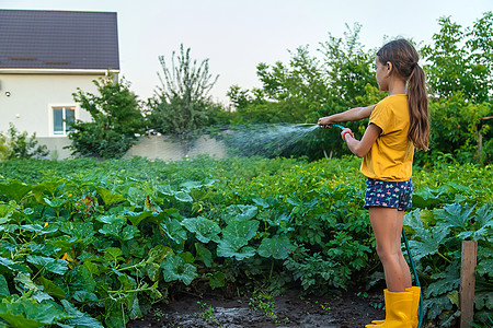 孩子用水管给花园浇水 有选择地集中注意力喜悦闲暇女孩行动院子家庭飞溅喷泉晴天乐趣图片