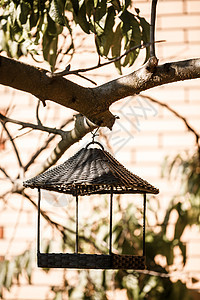 树枝上挂着绿叶的鸟饲料食物鸣禽工艺手工鸟巢房子季节叶子帮助动物图片