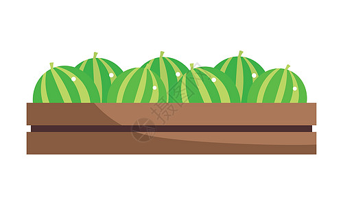 箱式半平板彩色矢量物体中的西瓜图片