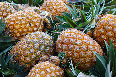 农场上成熟的菠萝库存饮食小吃宏观水果热带照片植物竹筐甜点叶子图片