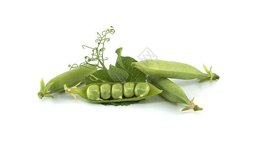 白色背景的豆子中的新鲜绿梨花园营养收成蔬菜种子豆荚饮食植物农业粮食图片