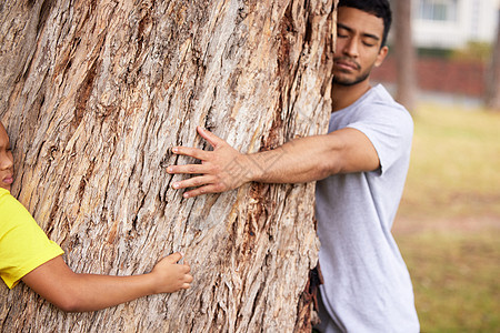 如果我们停下来听的话 我们会听到一个年轻人和一个男孩在树林里拥抱一棵树 (笑声)背景图片