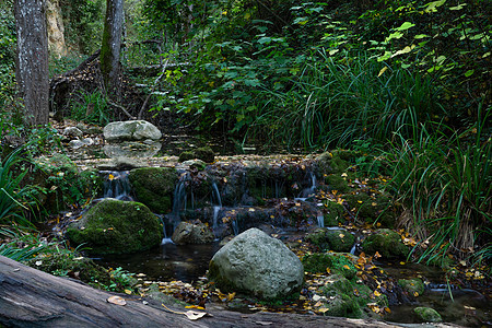 高山流中的瀑布苔藓热带环境运动叶子风景天堂植物公园丛林图片