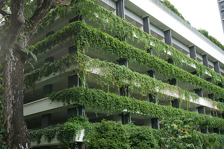 外观上生长着植物的建筑绿色景观天空城市阳台环境商业公寓市中心活力图片