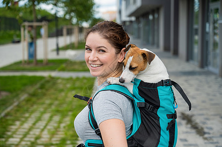 白种女人在户外散步 带着狗杰克罗塞尔特瑞尔 在特别的背包里猎犬宠物小狗鼻子朋友们职业动物配件哺乳动物女性图片