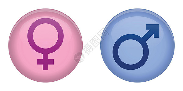 简单的男女符号3D圆按钮 粉色和蓝色版本图片