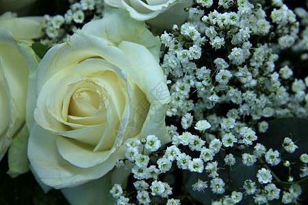 白玫瑰和吉普西拉花束用于婚礼插花白色花瓣装饰新娘捧花鲜花玫瑰背景图片