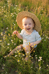 一个戴着草帽的金发小男孩坐在洋甘菊田的草地上 在自然中行走 自由和环保生活方式的概念喜悦甘菊场地童年小家伙过敏草本植物男生野生动图片