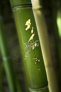 在竹子上传递信息背景图片