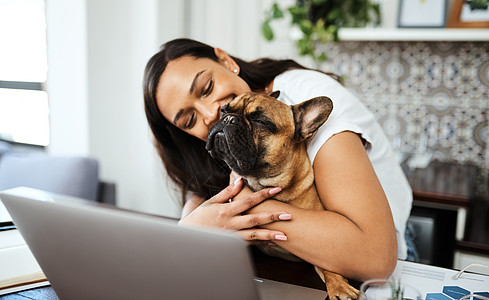 有爱犬守候的房子永远不会寂寞 一名年轻女子在家工作时将她的宠物狗放在腿上图片