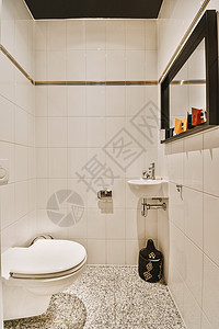 厕所和下水道的厕所家庭脸盆镜子白色卫生卫生间公寓龙头浴室毛巾图片