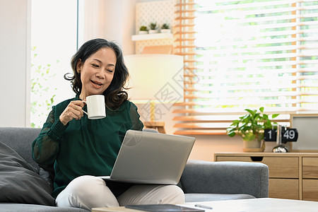 穿着便衣 喝咖啡和在家沙发上使用笔记本电脑的快乐中年妇女图片