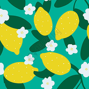 手画着盛开的柠檬 无缝的夏季模式图片