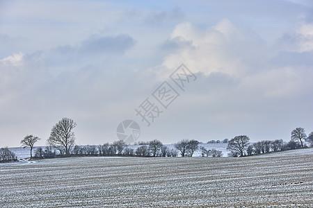 冬天在乡下丹麦 冬季的丹麦农田摄影农村天气晴天农业阴影美丽花园人行道脚印图片