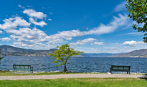 沿岸长椅和树的奥卡纳根湖景色概览公园内心途径风景支撑海岸天气阳光平静阅读图片
