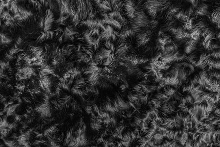 包子皮黑色羊毛纹理皮底底底底深色软材料抽象表面形态自然图案动物棉布羊皮风格纺织品宏观纤维柔软度荒野墙纸背景