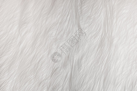 白色软羊毛结构图案 抽象的轻光毛皮背景开襟衫针织纺织品衣服材料装饰编织织物毯子艺术图片