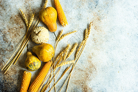 秋季收割概念耳朵玉米收成南瓜感恩蔬菜谷物小麦食物图片