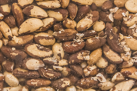 有机食草动物Nuts Nuts背景水果情调小吃甜点杏仁腰果核桃饮食葡萄干健康图片