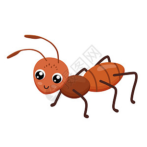 白色背景上孤立的可爱笑脸蚂蚁 儿童有趣的昆虫 平板卡通矢量插图图片