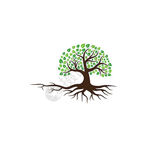 抽象树标志设计 绿树和叶子 根向量生命之树标志设计的灵感与白色背景隔离树干植物学生态草图商业公园生物花园标识木头图片