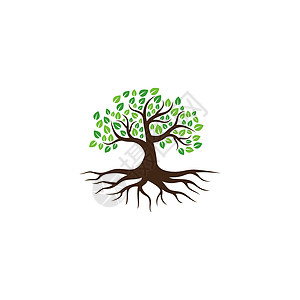 抽象树标志设计 绿树和叶子 根向量生命之树标志设计的灵感与白色背景隔离树干生长植物商业生物环境植物学标识橡木森林图片