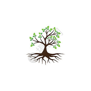 抽象树标志设计 绿树和叶子 根向量生命之树标志设计的灵感与白色背景隔离木头植物植物学商业花园标识树干生长生物橡木图片