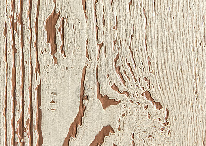 装饰白色木材背景 木板纹理 木质表面 含有抽象棕色型木材材料木头桌子粮食风化橡木木地板墙纸松树硬木控制板图片