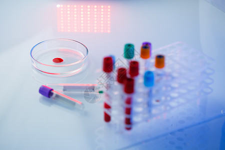医学专家 实验室助理 医生在实验室进行分析 使用试管 吸管和培养皿来检测人体中细菌的存在 选择性焦点化学品保健紫色化学液体科学微图片