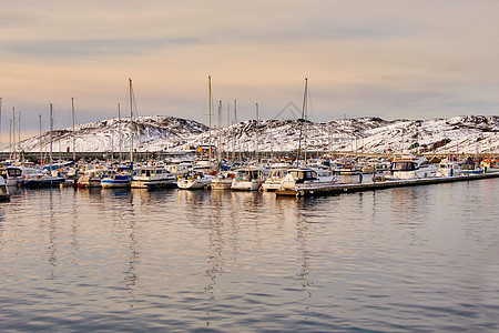 挪威照片诺德兰 极地环以北 博多市及其周围 极地圈以北苔藓旅游地标旅行港口海滩石头船舶海洋风景图片