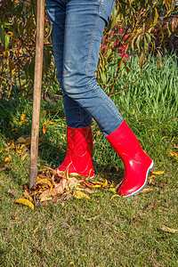 园丁在秋天清扫花园成人季节园艺院子牛仔裤工作园林裤子女性树叶图片