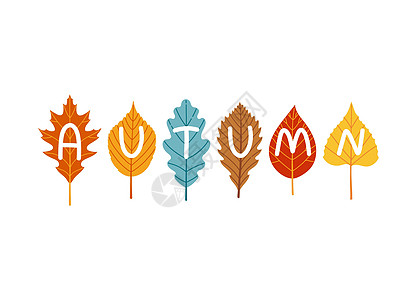秋天树叶字母秋季秋季秋季节矢量图片