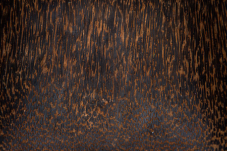 棕榈树 椰子树 木制品等棕色木质的交叉切口植物材料椰子图案头发条纹木纹皮层树干木材图片