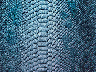 蛇皮肤背景 关上爬行动物蜥蜴纺织品鳄鱼艺术异国热带打印衣服墙纸图片