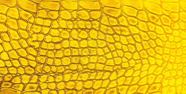蛇皮肤背景 特写爬行动物纹理材料异国墙纸鳄鱼艺术爬虫织物宏观打印蜥蜴图片