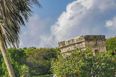 古代图鲁姆毁灭了玛雅遗址的马雅寺庙金字塔地标考古建筑学城市海景旅游历史岩石海滩天空图片