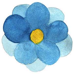 白色背景上孤立的蓝色花朵水色对象热带水彩插图黄色草图手绘植物植物学绘画图片