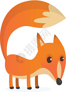 可爱卡通狐狸人物 矢量插图剪贴犬类贴纸荒野漫画绘画打印动物生物尾巴图片