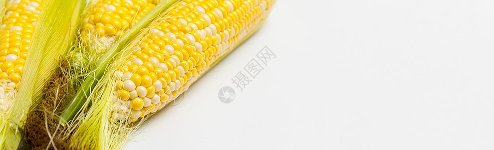 Ripe Corn 颗粒与水滴 极巨集 以复制文本空间隔绝玉米叶子食物谷物内核营养收成植物农场生产图片