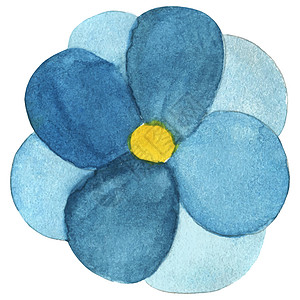 白色背景上孤立的蓝色花朵水色物品对象热带花头草图涂鸦植物黄色花瓣手绘图片