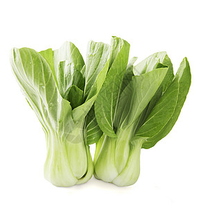 2个Bok Choy 孤立的食物健康烹饪植物芸苔绿色图片