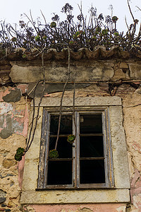 旧旧弃置房屋的空暗窗底面视图建筑学街道废弃热带叶子绿色植物窗户园艺框架石头图片