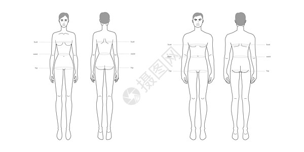 男女标准身体部位术语测量服装和配饰生产时尚的插图裁缝女孩尺寸缝纫收藏女士男生臀部服饰信息图片