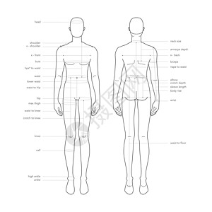 身高表男性身体部位术语测量图 服装和配饰生产时尚男性尺码表草图缝纫裁缝腰部男生收藏臀部图表服饰衣服插画