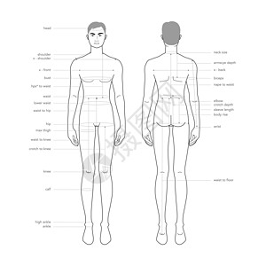 身高表男性身体部位术语测量图 服装和配饰生产时尚男性尺码表收藏草图尺寸缝纫裁缝信息腰部臀部配件衣服插画